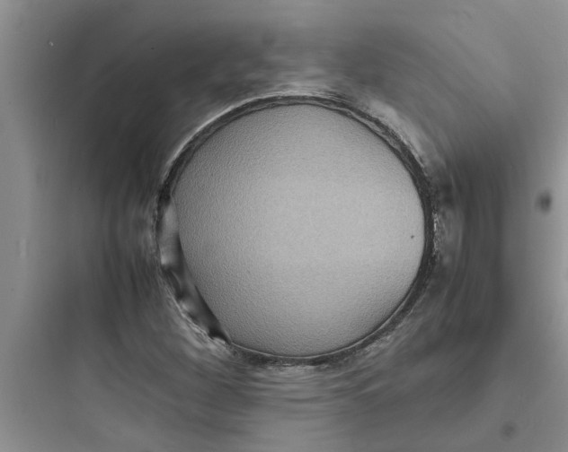 X0000097621260200803211737