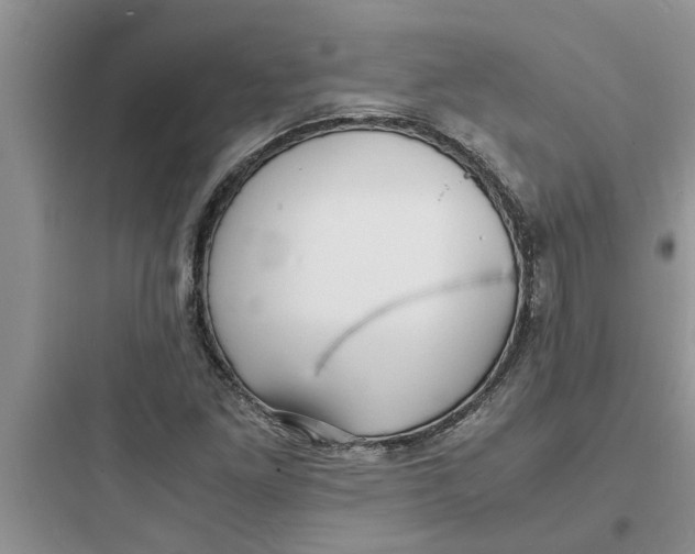 X0000097621261200803211737