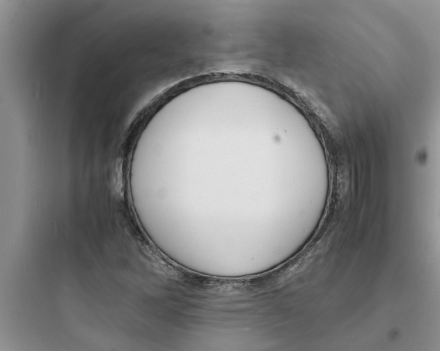 X0000097621262200803211737