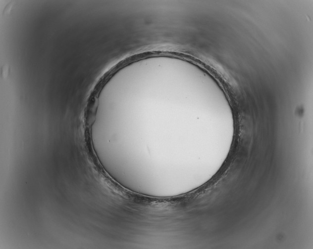 X0000097621264200803211737