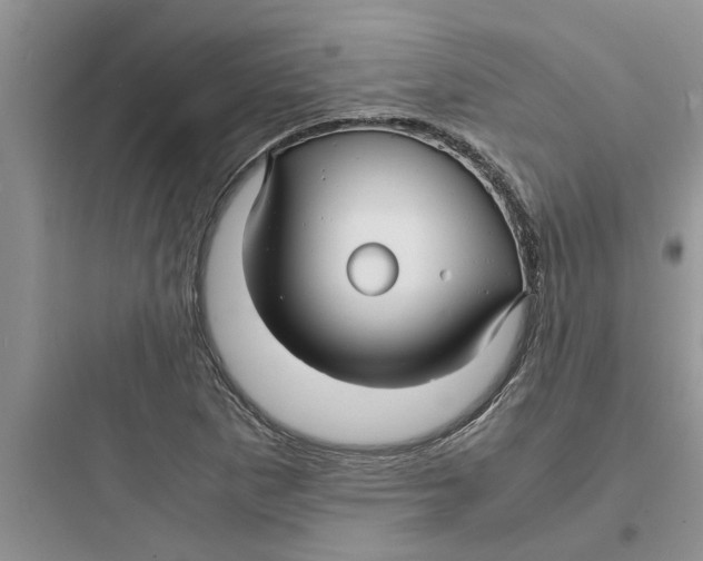 X0000097621265200803211737