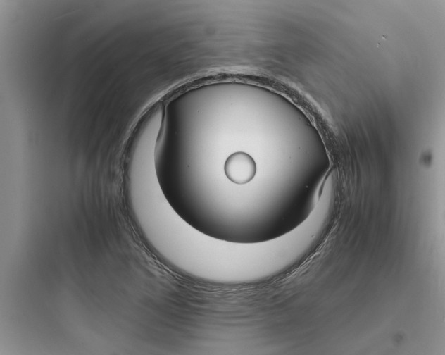 X0000097621266200803211737