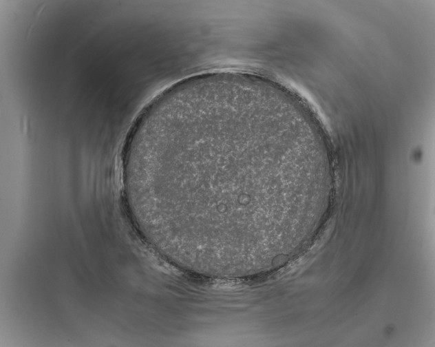 X0000097621267200803211737