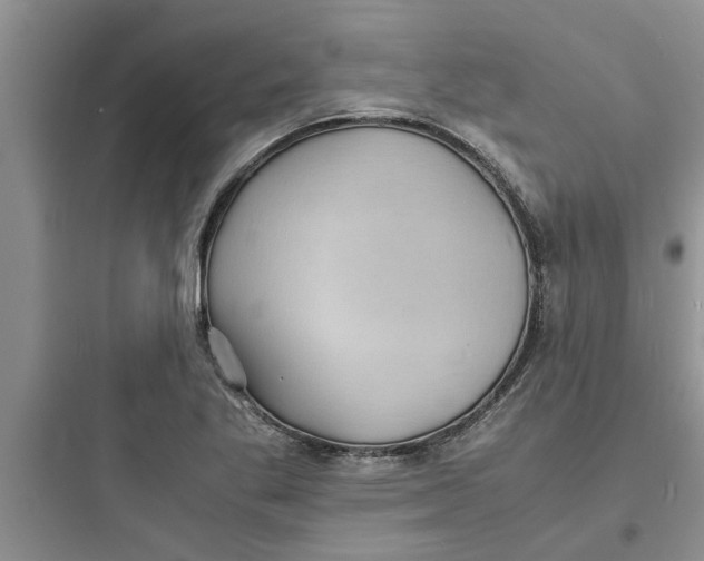 X0000097621269200803211737