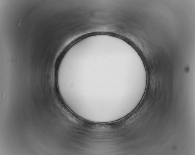 X0000097621270200803211737