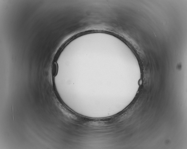 X0000097621272200803211737
