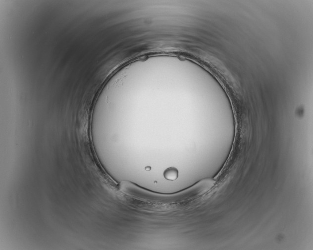X0000097621273200803211737