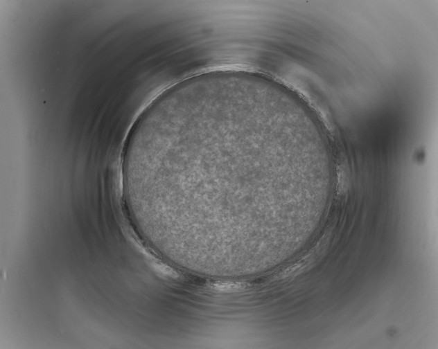 X0000097621274200803211737
