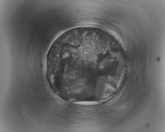 X0000097621275200803211737
