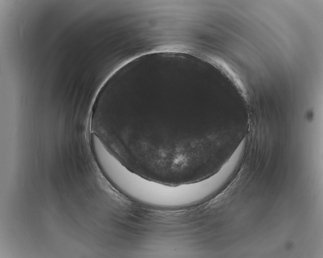 X0000097621276200803211737
