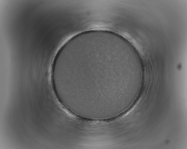 X0000097621277200803211737