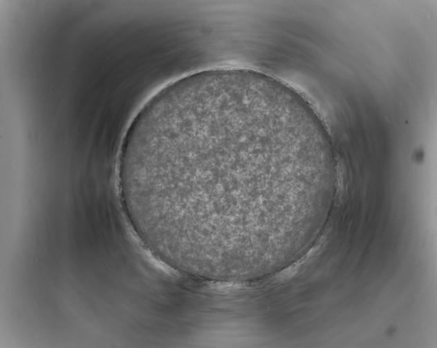 X0000097621278200803211737
