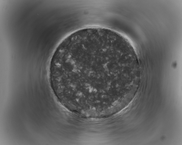 X0000097621279200803211737