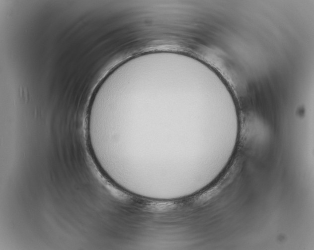 X0000097621282200803211737