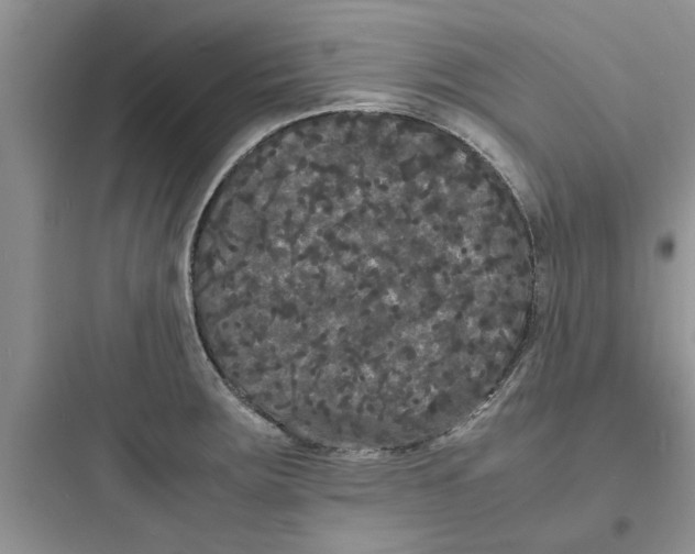 X0000097621283200803211737