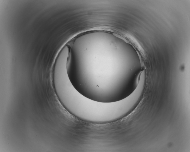 X0000097621284200803211737
