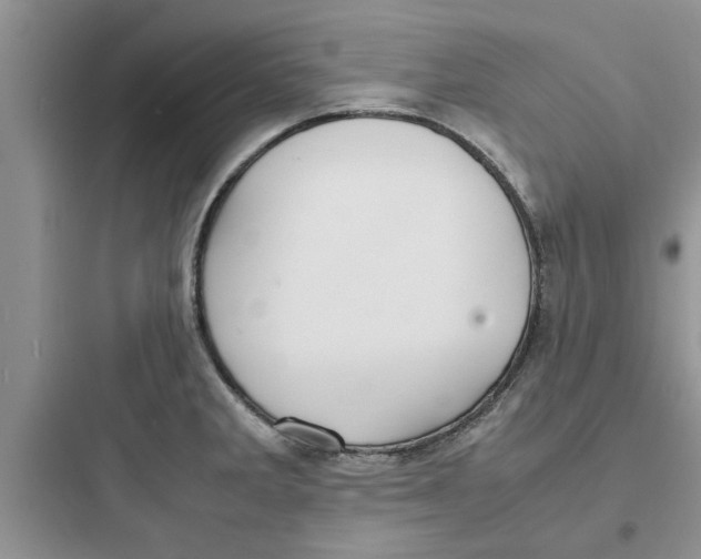 X0000097621285200803211737
