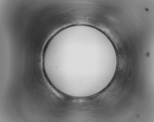 X0000097621286200803211737