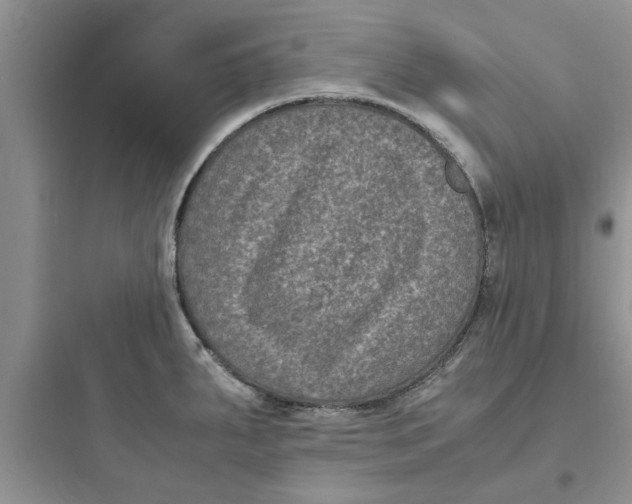 X0000097621287200803211737