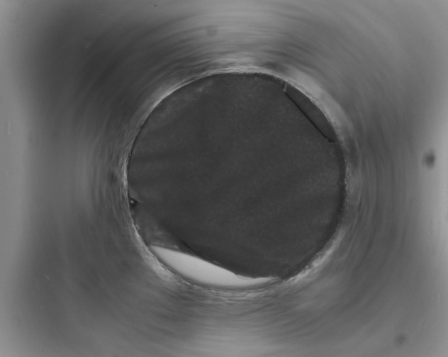 X0000097621289200803211737