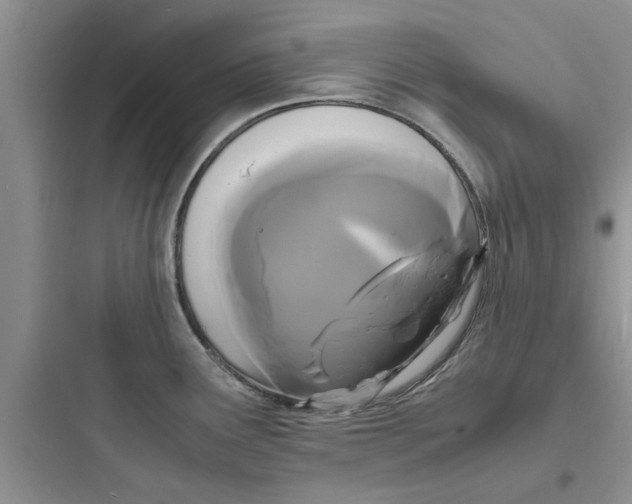 X0000097621291200803211737