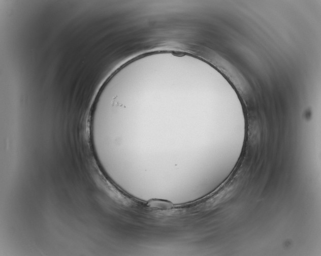 X0000097621292200803211737