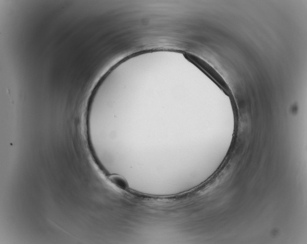 X0000097621293200803211737