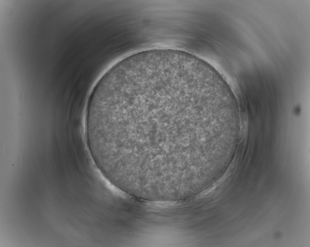 X0000097621294200803211737