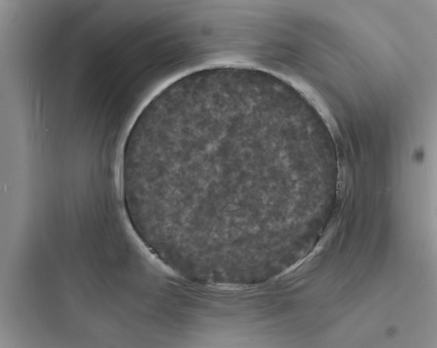 X0000097621295200803211737