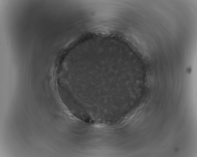 X0000097621297200803211736