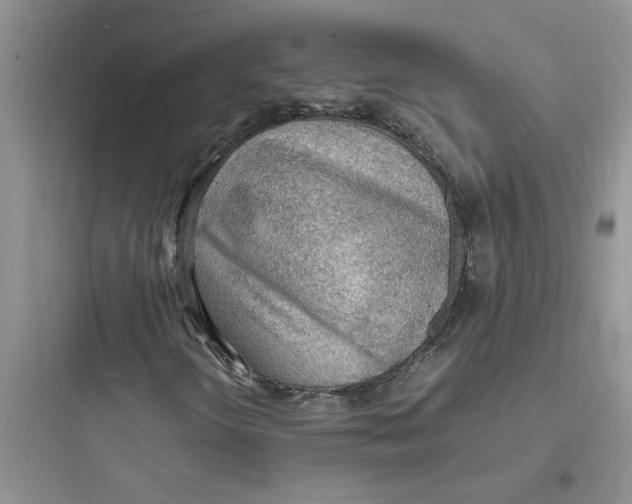 X0000097621298200803211736