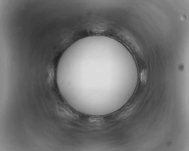 X0000097621299200803211736