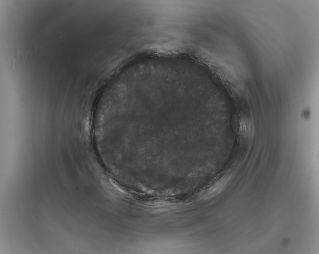 X0000097621300200803211736
