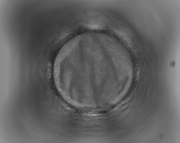 X0000097621301200803211736