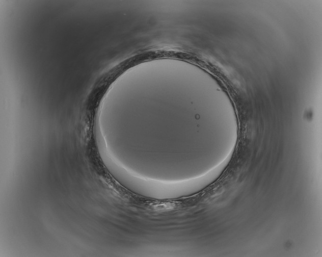 X0000097621303200803211736