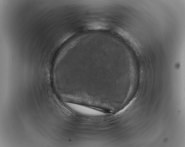 X0000097621305200803211736
