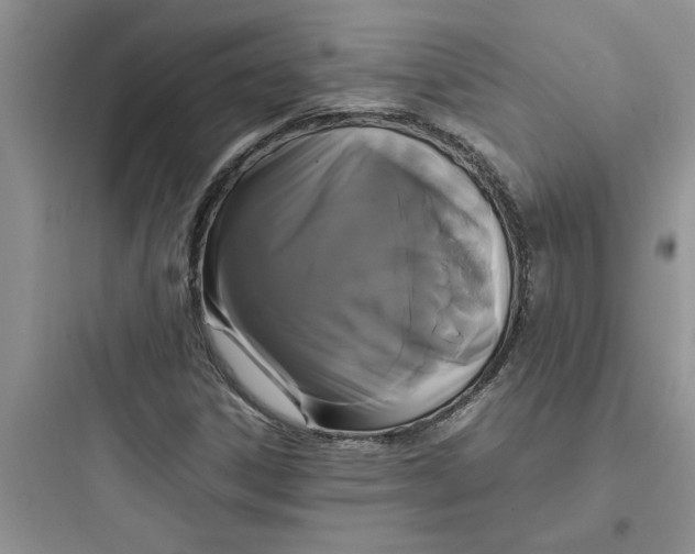 X0000097621306200803211736