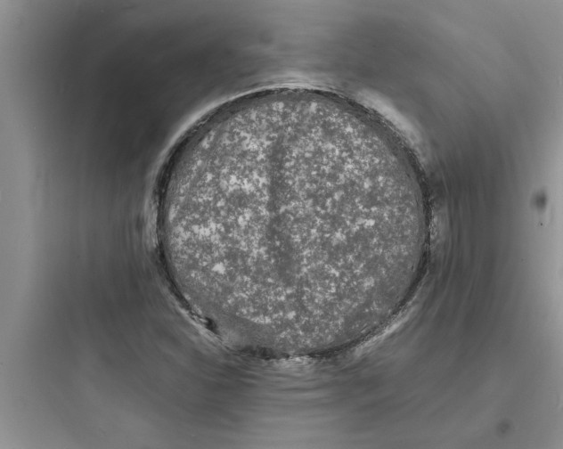 X0000097621310200803211736