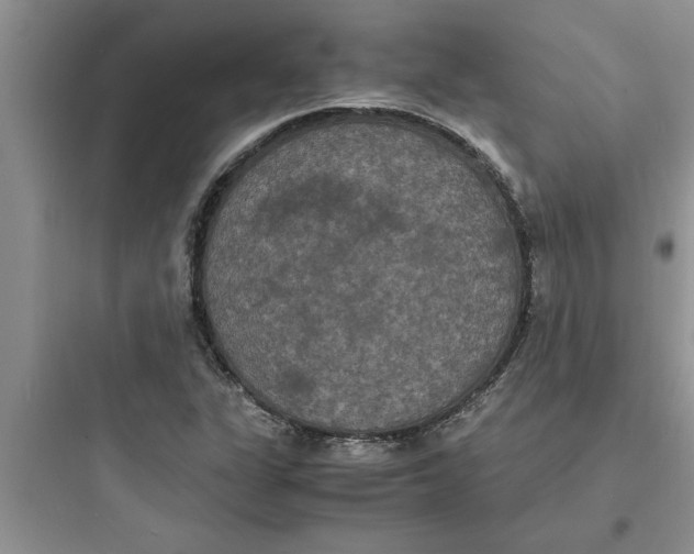 X0000097621311200803211736