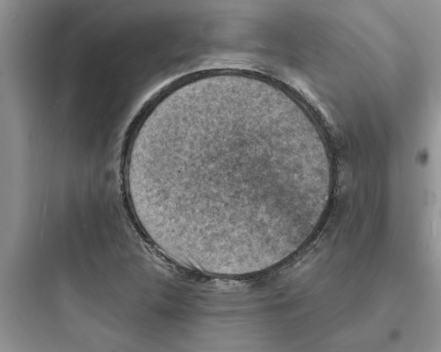 X0000097621312200803211736