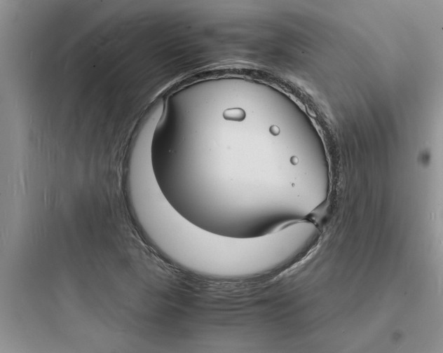 X0000097621313200803211736