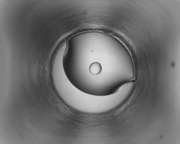 X0000097621314200803211736