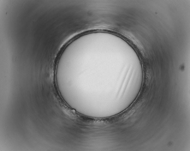 X0000097621316200803211736