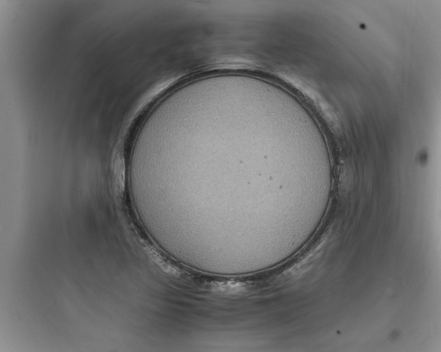 X0000097621317200803211736