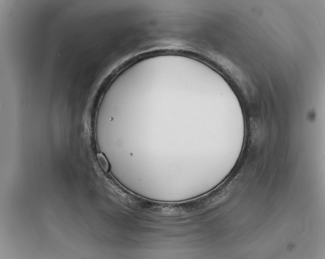 X0000097621318200803211736