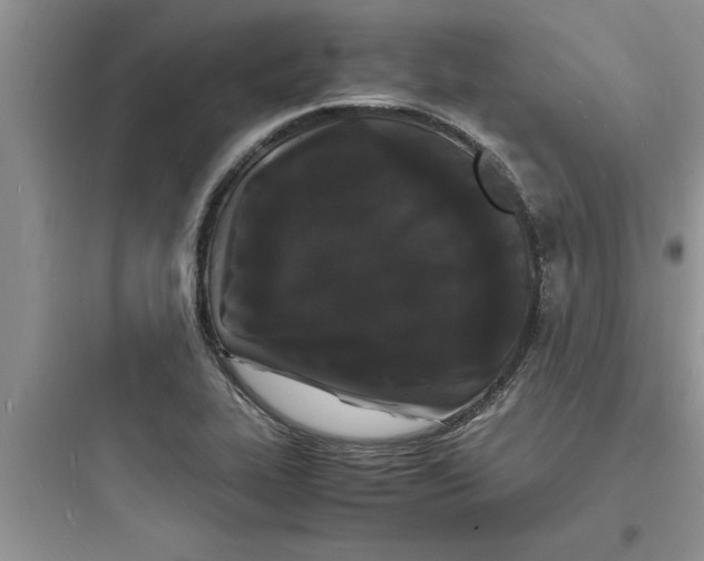 X0000097621319200803211736