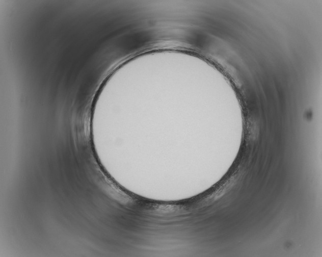 X0000097621322200803211737