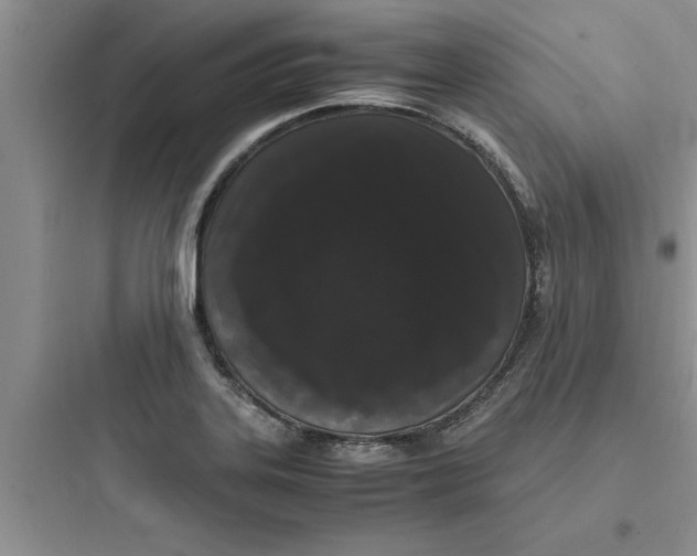 X0000097621323200803211737