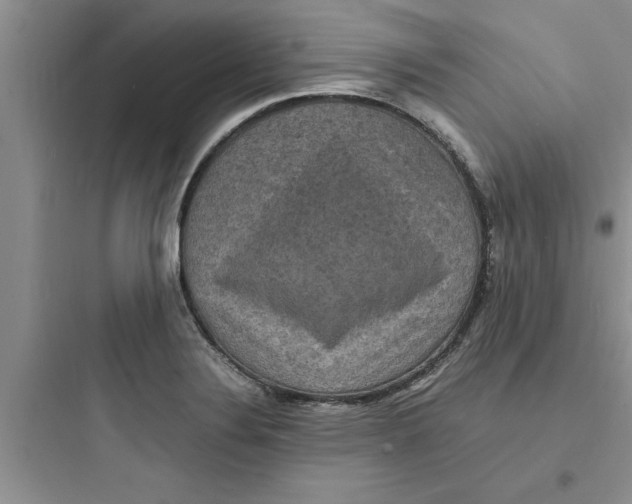 X0000097621324200803211737