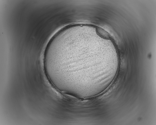 X0000097621325200803211737